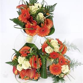 fwthumbP7112294WEB .jpg